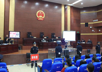 上海刑事诉讼律师