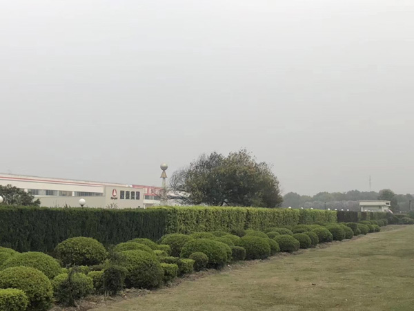 上海资深刑事律师讲解打架拘留担保的最佳时机，千万不要错过！