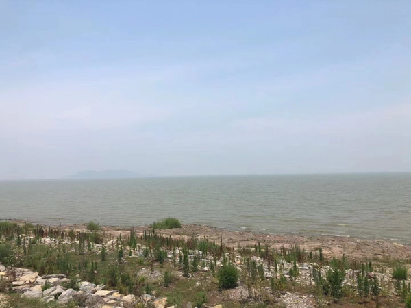 毒品案件如何承办？上海死刑辩护律师为您介绍