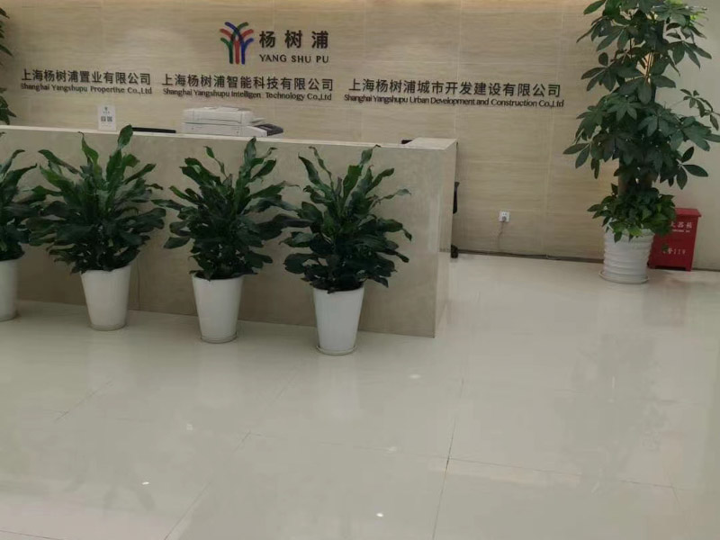 上海刑事犯罪律师带您了解黑恶势力是如何被认定的